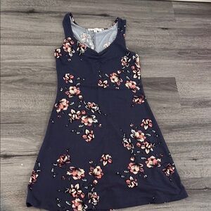 Wallflower blue and Pink Floral dress